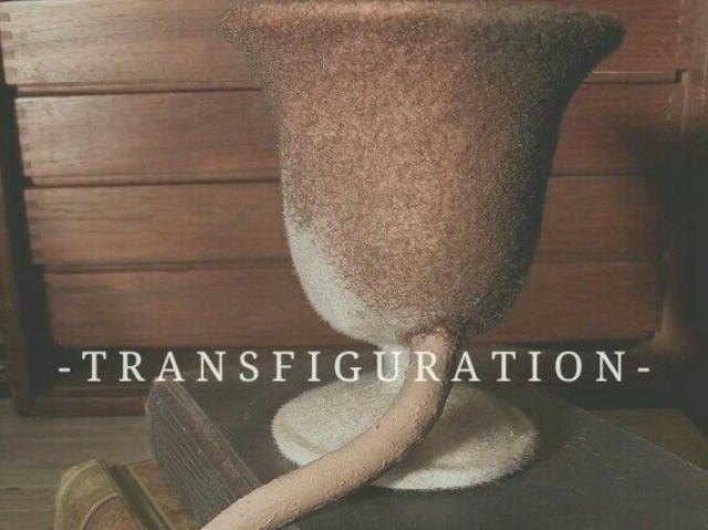 Transfiguração