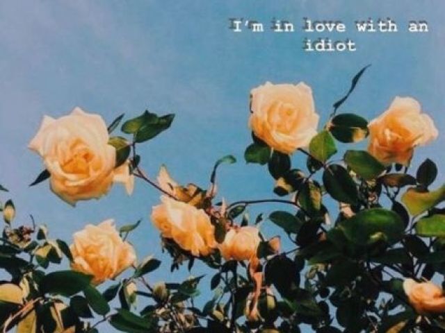 VSCO