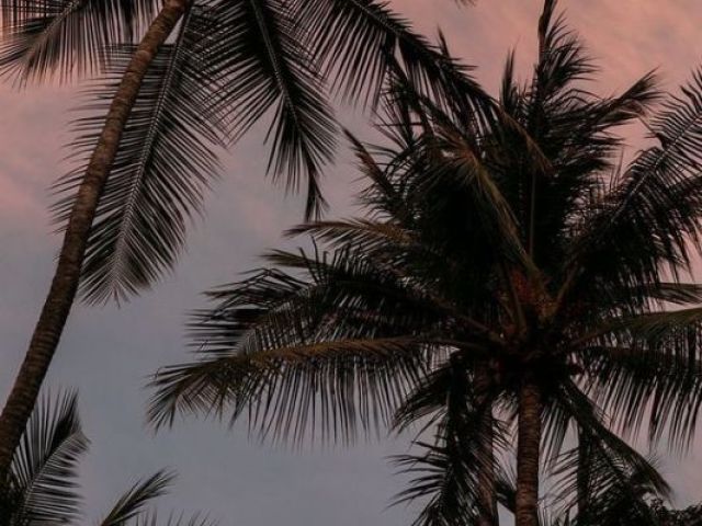 Tumblr