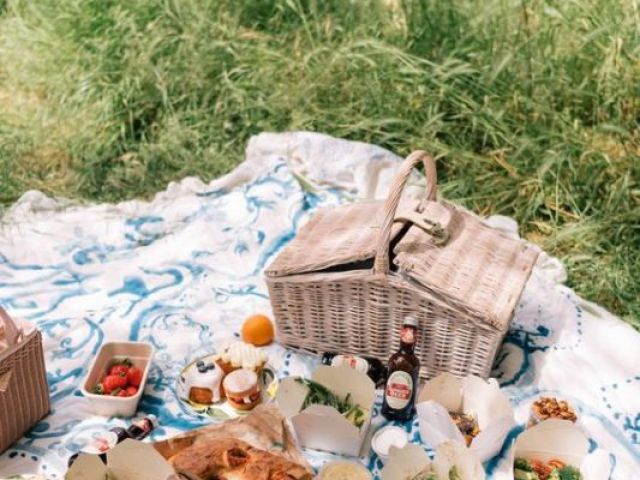 PICNIC