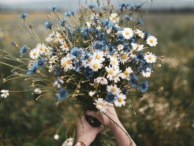 VOCÊ É: PRIMAVERA