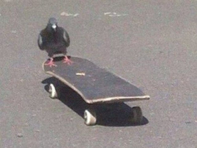 andar de skate ou algo do gênero