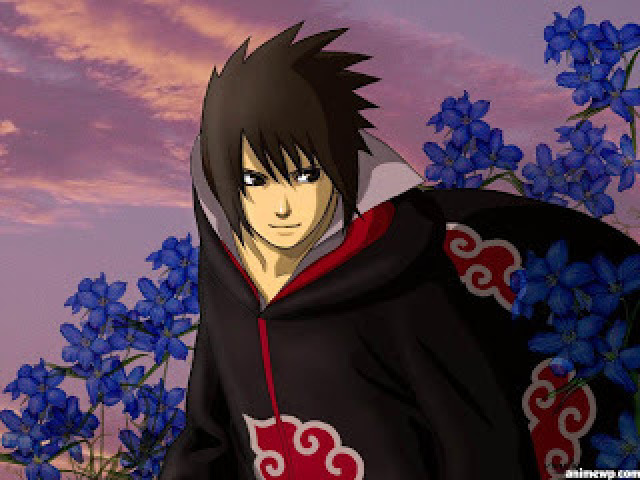 Sasuke