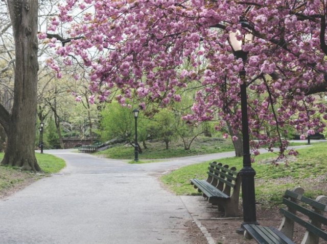 Passeio no parque