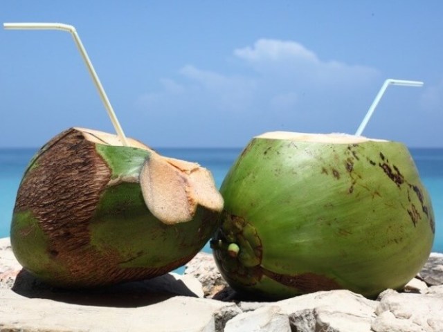 Água de coco