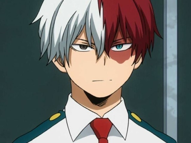 Shoto Todoroki