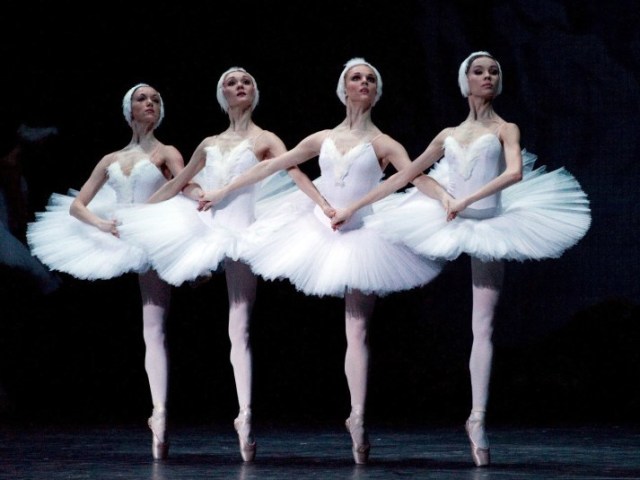 grupo de Ballet, cisne Negro