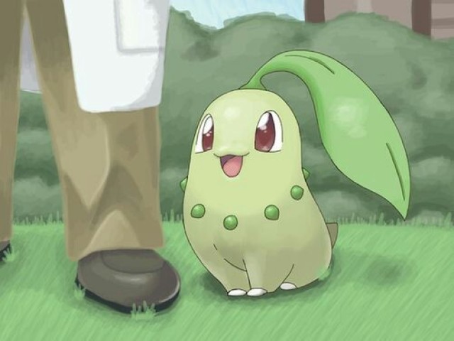 Chikorita