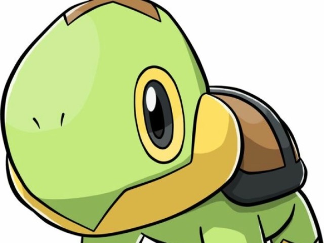 Turtwig, chinchar