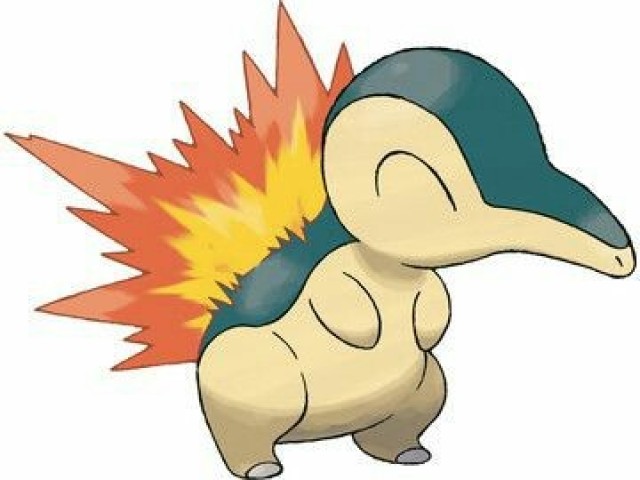 Cyndaquil, chikorita