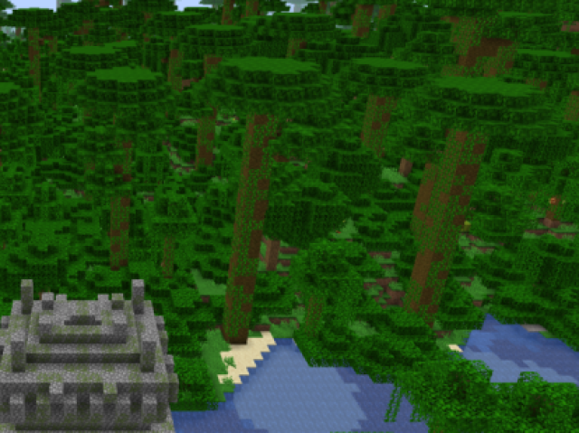 Selva