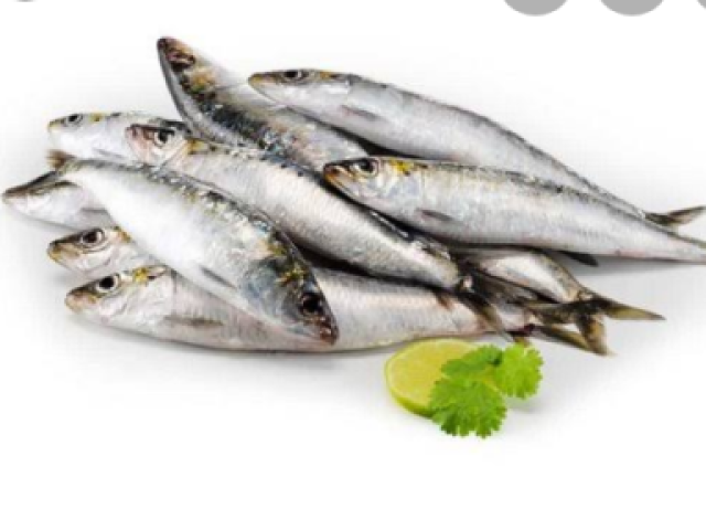 Sardinha