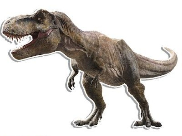 Prefiro dinossauro