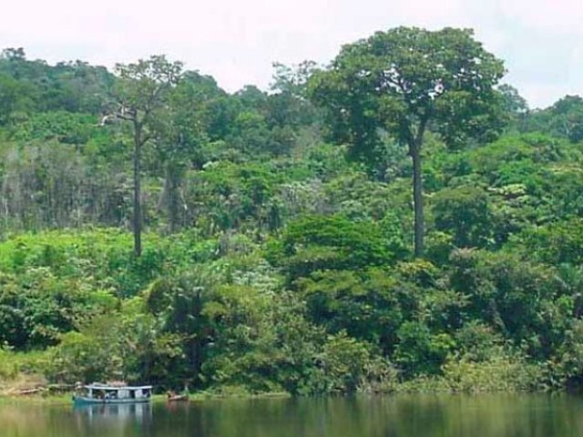 Floresta Amazônica.