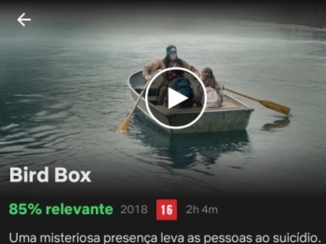 Bird box, suspence