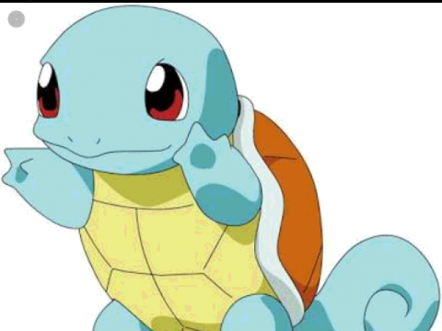Squirtle