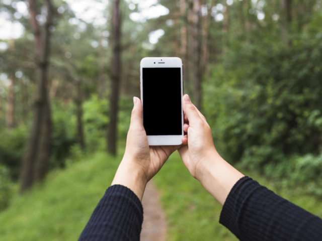 Uma celular para registrar todo o momento