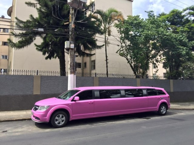 Limousine Rosa