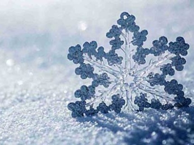 Frio