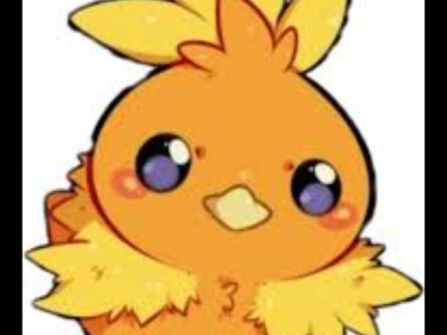 Torchic