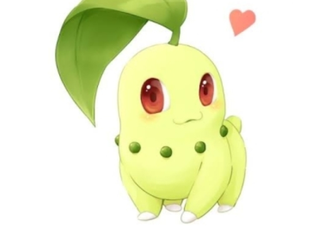 Chikorita