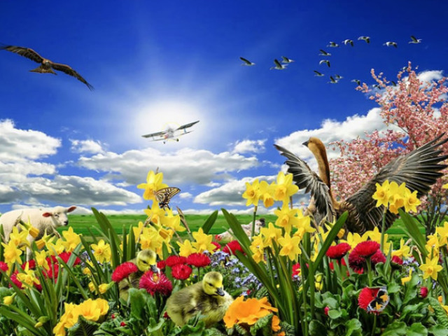 Primavera