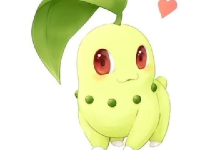 Chikorita