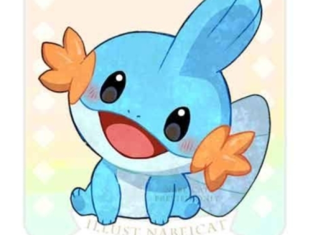 Mudkip