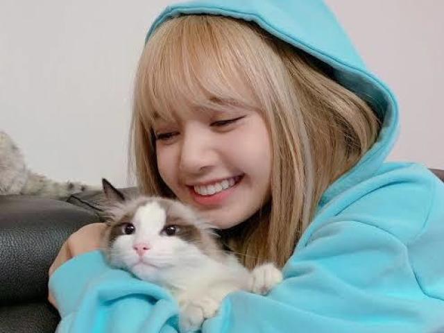 O que você sabe sobre a Lisa?