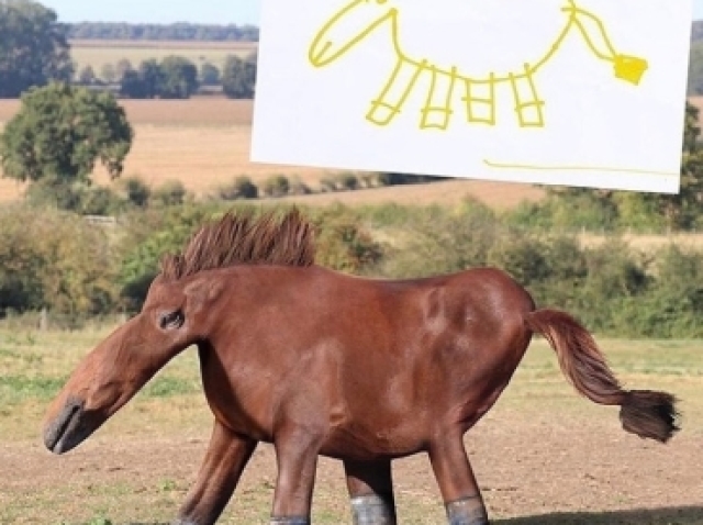 Cleberinho burrinho