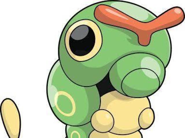 Caterpie