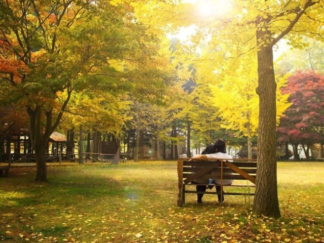 Vão ao parque apreciar a vista