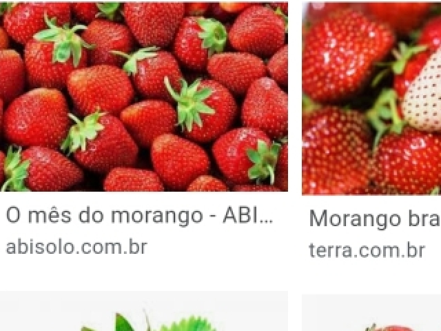 Morango