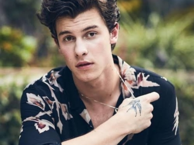 Shawn mendes