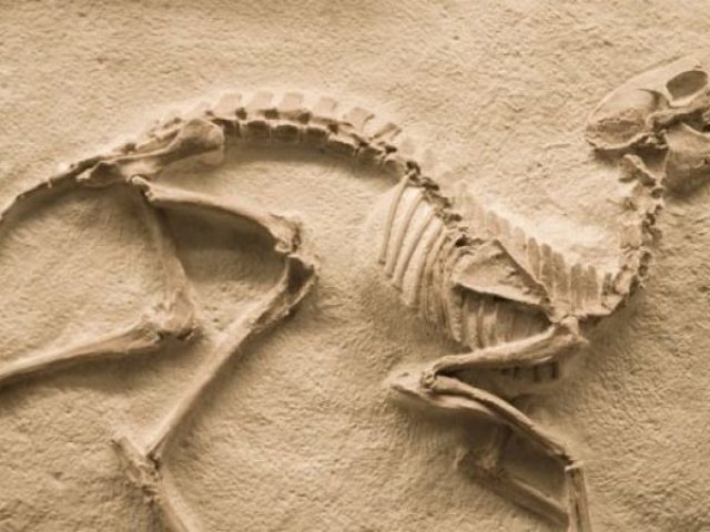 arqueologia
