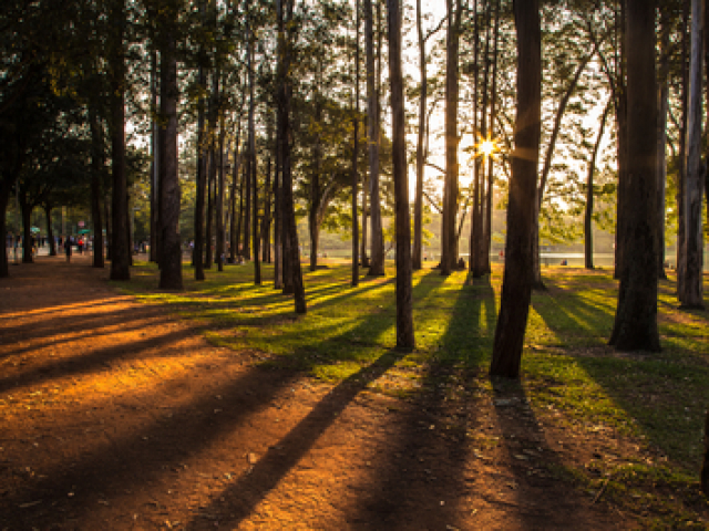 Uma caminhada no parque em fim de tarde