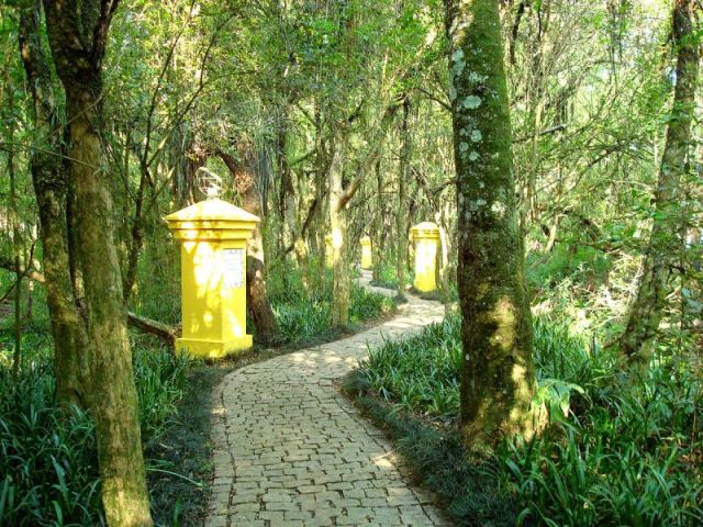 Um bosque vasto misterioso e quase que... Encantado?!