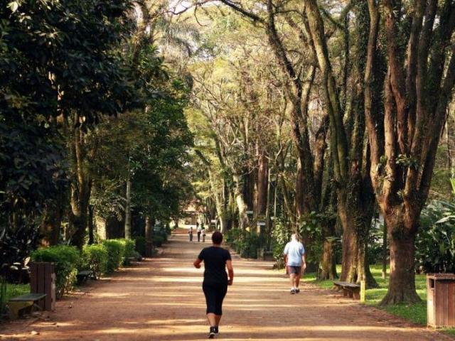 Passeio no Parque