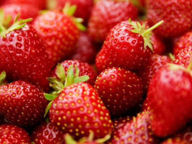 Morango