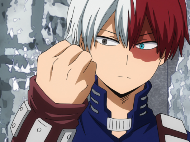 SHOTO TODOROKI