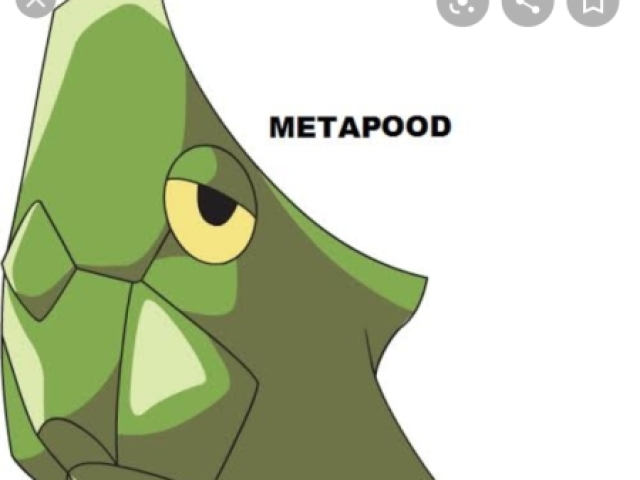 Metapod