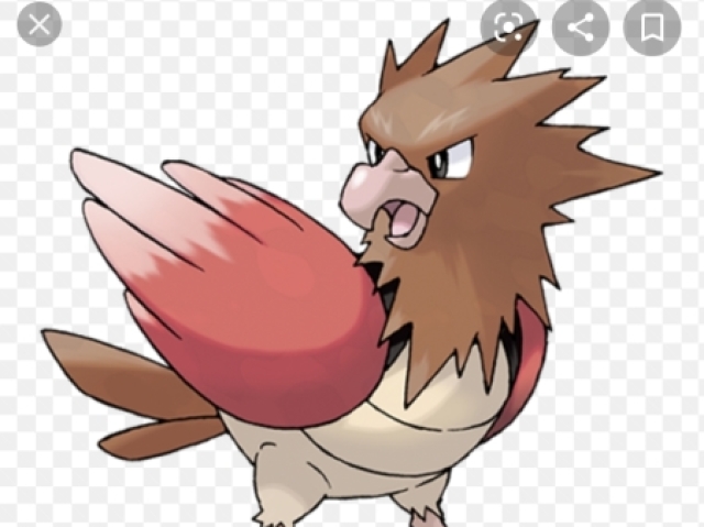 Spearow