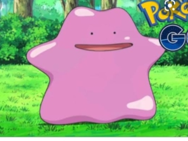 Ditto