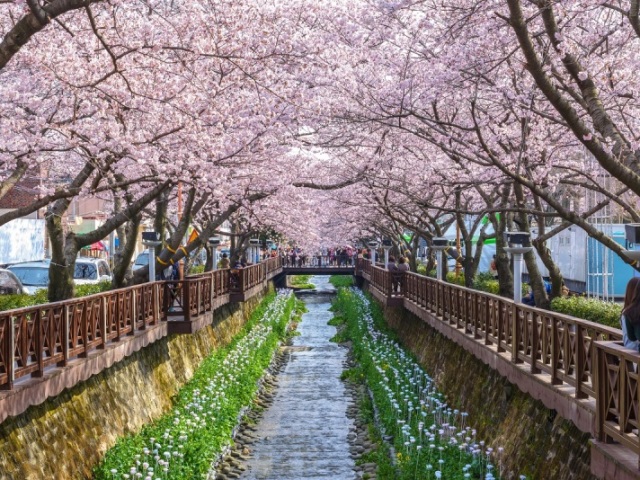 Parque das Jinhae lóooogico