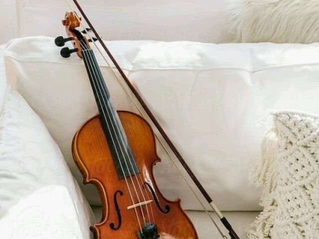 Violino