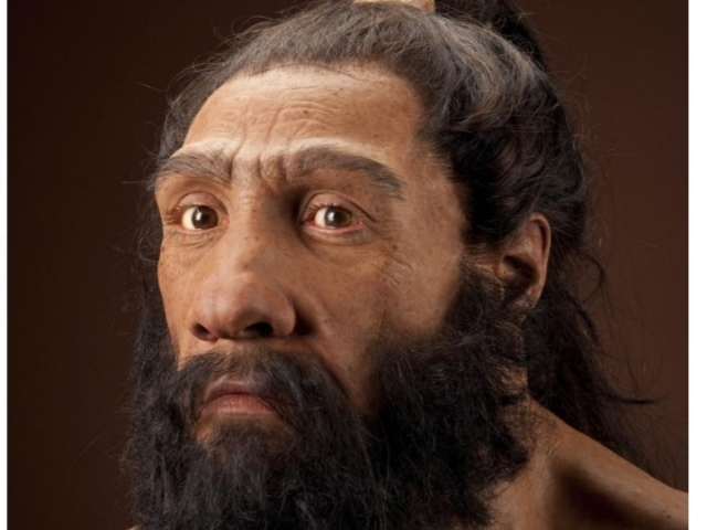 Homo Neandertal