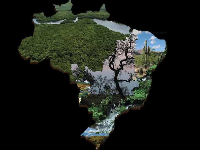 Clima e vegetação do Brasil