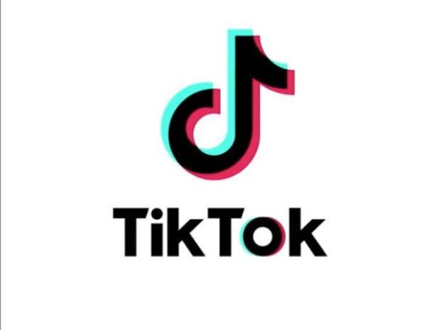 Qual o user dessas tiktokers?