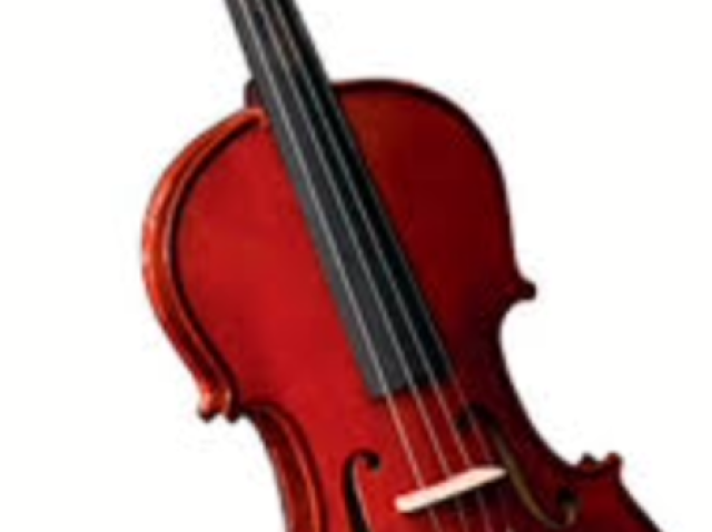 Violino