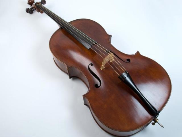 violoncelo